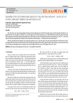 Nghiên cứu sử dụng khí gaslift cao áp tạo hệ bọt-Acid xử lý vùng cận đáy giếng tại mỏ bạch hổ