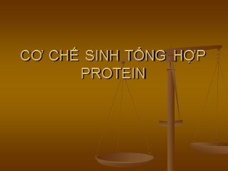 Bài giảng Cơ chế sinh tổng hợp protein