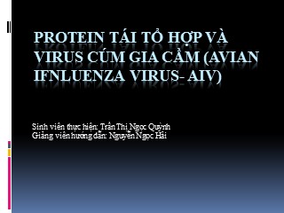 Protein tái tổ hợp và virus cúm gia cầm (Avian ifnluenza virus- Aiv)