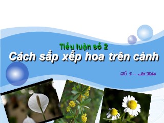 Bài giảng Cách sắp xếp hoa trên cành