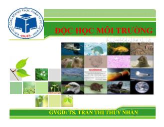 Giáo trình Độc học môi trường - Chương 6: Độc tính dầu lửa-Thuốc bảo vệ thực vật - Trần Thị Thúy Nhàn