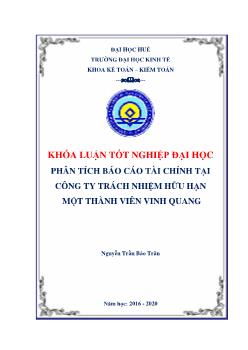 Khóa luận Phân tích Báo cáo tài chính tại công ty trách nhiệm hữu hạn một thành viên Vinh Quang