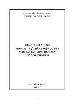 Giáo trình Thực hành điện cơ bản (Trình độ Trung cấp)