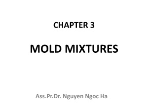 Mold mixtures - Nguyen Ngoc Ha
